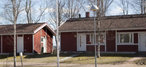 Puistonraitti Kiikala
